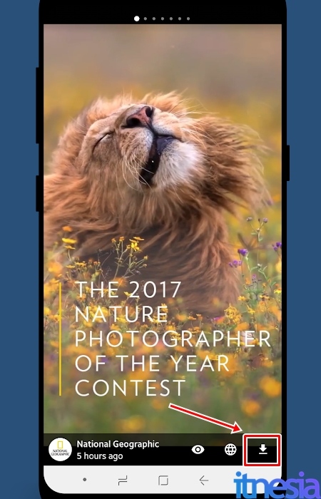 Cara Download Video Instagram Stories Lewat Smartphone Android