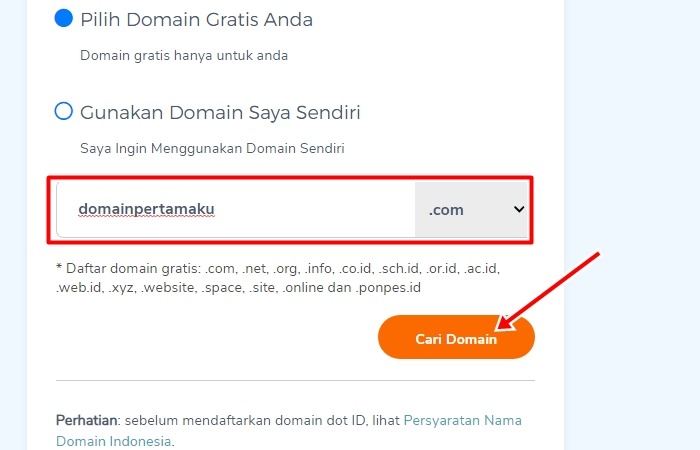 Pembuatan Nama Domain